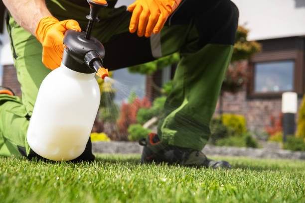 Best Pest Removal Services  in Lake City, PA