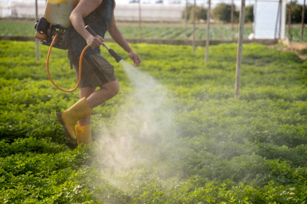 Best Best Pest Control Companies  in Lake City, PA